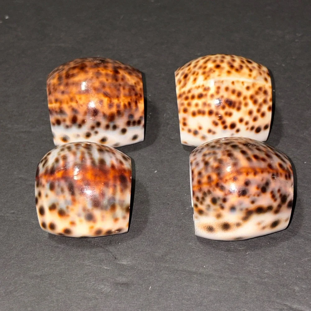 Vintage Natural Tiger Cowrie Shell Napkin Rings Set of 4 Brown Spotted Coastal